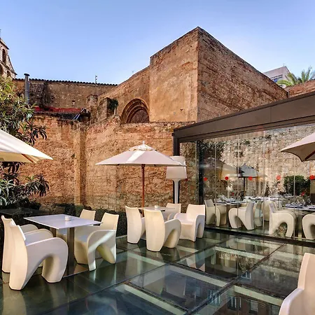 Olivia Plaza Hotel